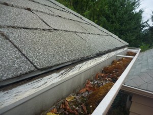 Debris Noted on a Roof Inspection on this North East Salem Oregon Gutter