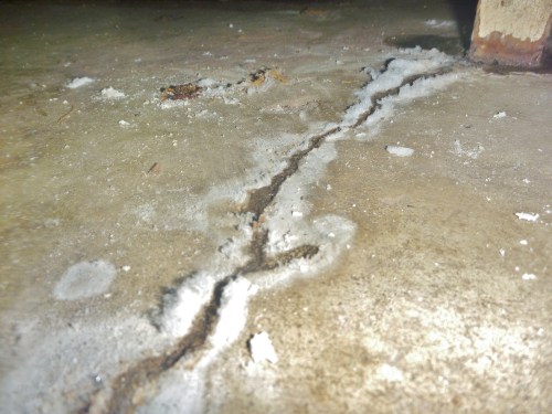 Evidence of moisture leakage in the basement floor