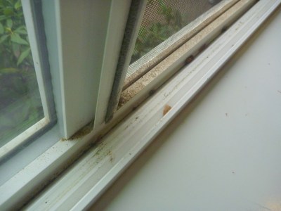 Dirty window track, soon to be cleaned